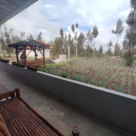 Elen Homestay By Abm Bromo Esterno foto