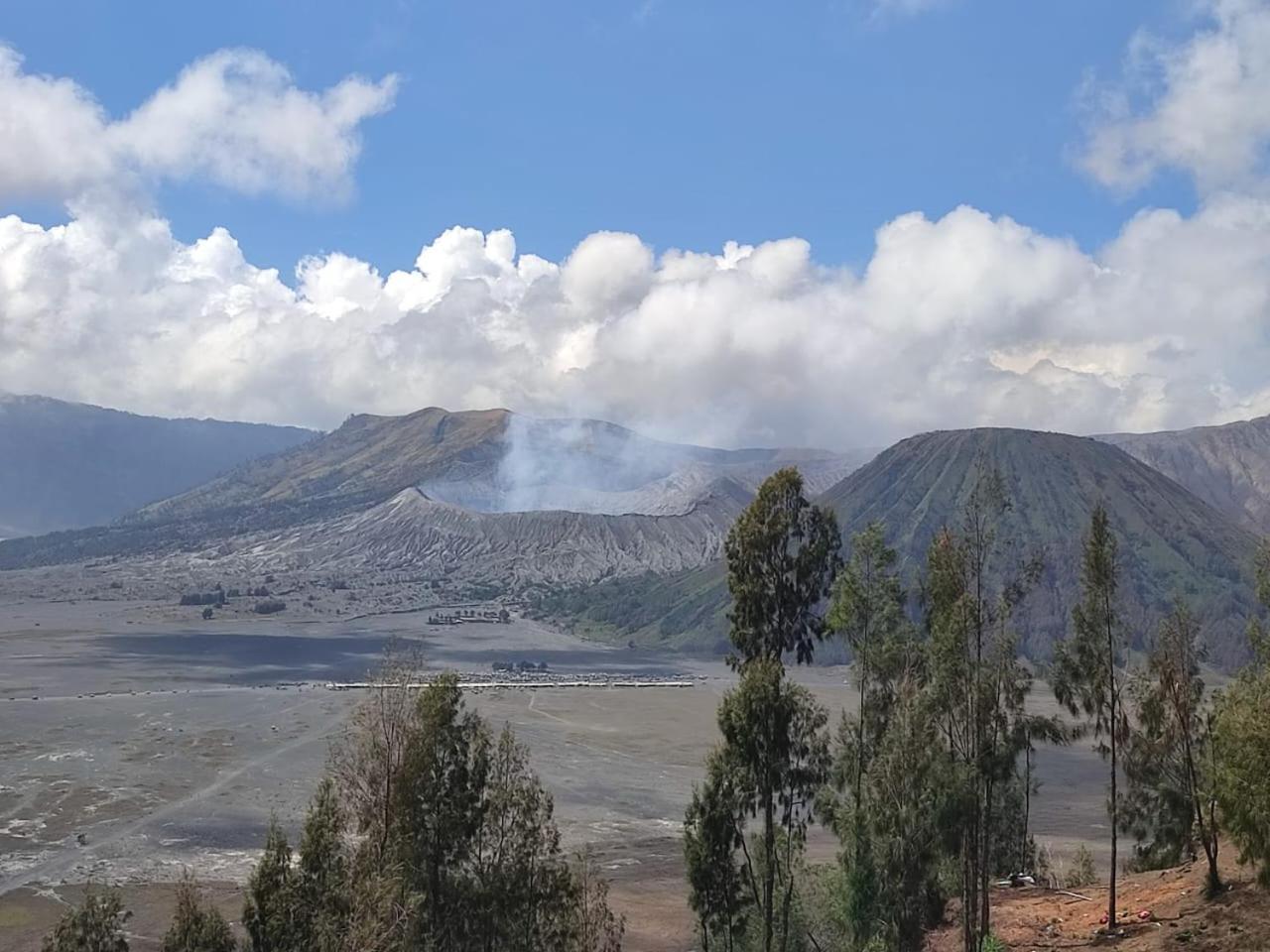 Elen Homestay By Abm Bromo Esterno foto